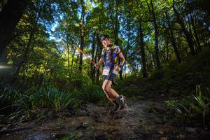 BIB: 
                            <button type="button" onclick="openModal(19229617)" class="btn btn-primary btn-sm float-right btn-popup" data-toggle="modal" data-target=".modal-high-quality">
                        <i class="fas fa-shopping-cart"></i> Add to Cart
                    </button>
                                            <button type="button" onclick="isThisMe(19229617, true)" class="btn btn-success btn-sm float-right btn-popup btn-isme hidden" data-toggle="tooltip" data-placement="bottom" title="นี่คือรูปของคุณใช่ไหม คลิกที่นี่เพื่อเอาเข้าอัลบั้ม">
                        <i class="fas fa-plus"></i> Add to album
                    </button>
                    <button type="button" onclick="isThisMe(19229617, false)" class="btn btn-warning btn-sm float-right btn-popup btn-isnotme hidden">
                        <i class="fas fa-ban"></i> Remove from album
                    </button>